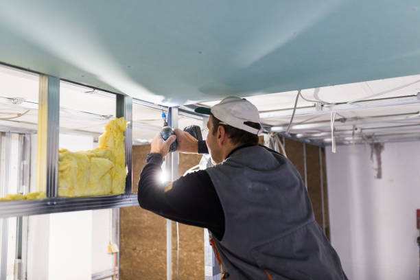 Best Insulation Removal  in Oakwood, PA