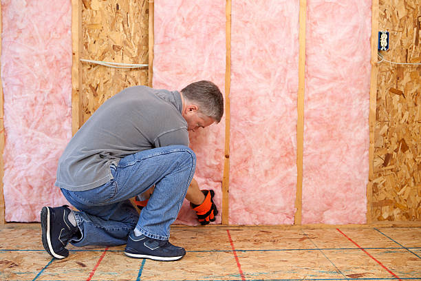 Best Cellulose Insulation  in Oakwood, PA