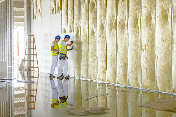 Best Home Insulation Services  in Oakwood, PA